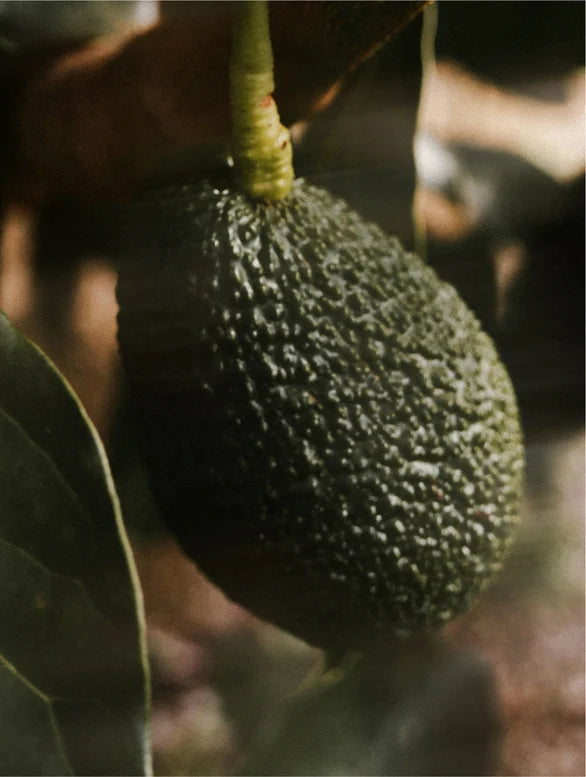 Sérum à la vitamine C